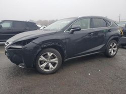 Lexus salvage cars for sale: 2017 Lexus NX 200T Base