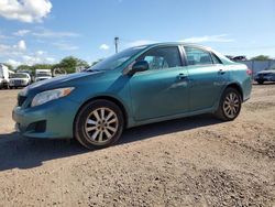 Toyota Corolla salvage cars for sale: 2010 Toyota Corolla Base