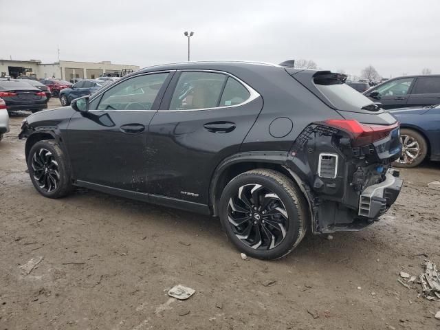 2021 Lexus UX 250H