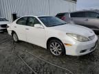 2004 Lexus ES 330