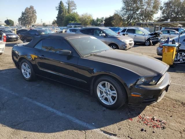 2013 Ford Mustang