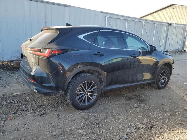 2022 Lexus NX 250