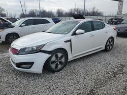 KIA Optima salvage cars for sale: 2012 KIA Optima Hybrid