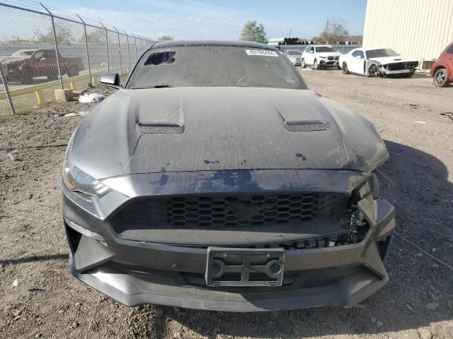 2019 Ford Mustang