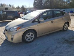 Toyota Prius salvage cars for sale: 2010 Toyota Prius