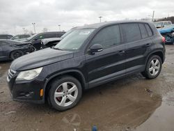 Salvage cars for sale from Copart Indianapolis, IN: 2010 Volkswagen Tiguan S