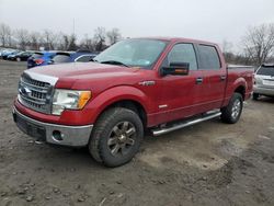 Ford f-150 salvage cars for sale: 2013 Ford F150 Supercrew