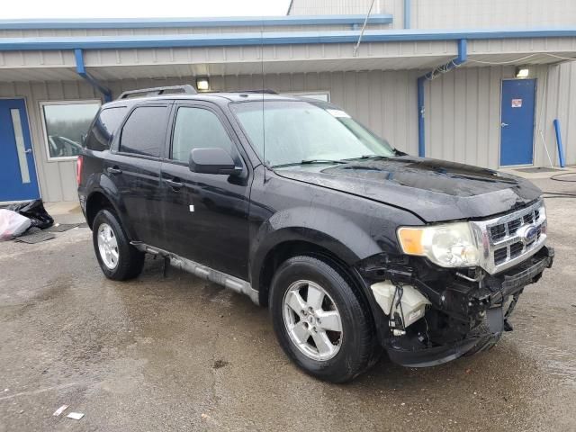 2009 Ford Escape XLT