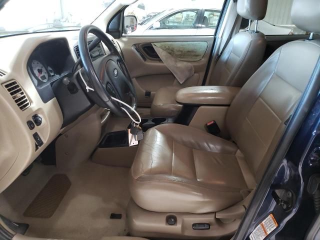 2004 Ford Escape Limited