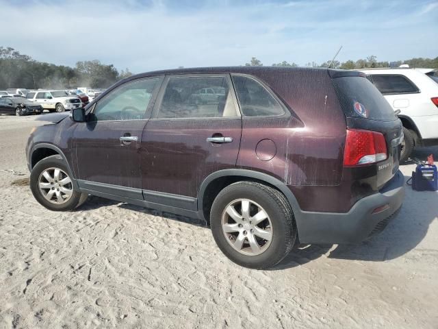 2011 KIA Sorento Base