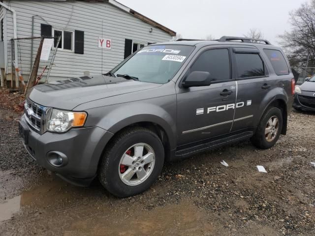 2010 Ford Escape XLT