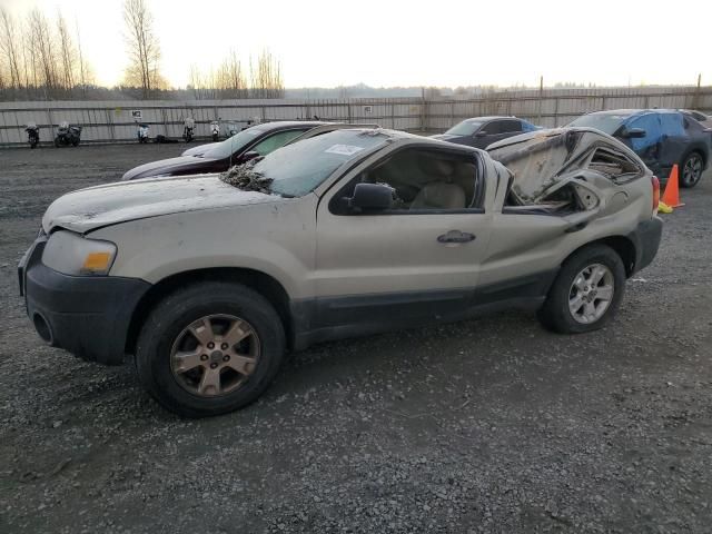 2005 Ford Escape XLT