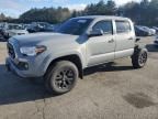 2021 Toyota Tacoma Double Cab