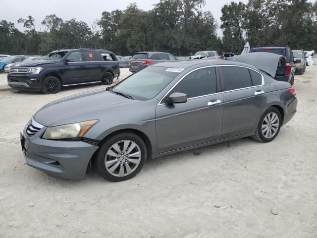 2011 Honda Accord EXL