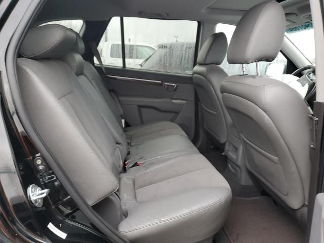 2010 Hyundai Santa FE SE