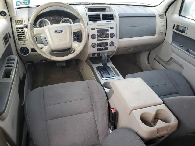 2009 Ford Escape XLT