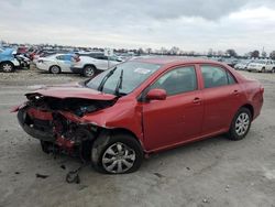 Toyota Corolla salvage cars for sale: 2009 Toyota Corolla Base