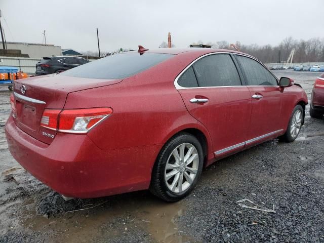 2010 Lexus ES 350