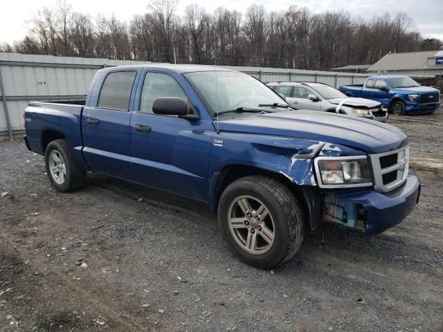 2009 Dodge Dakota SXT