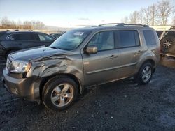 Honda Pilot salvage cars for sale: 2010 Honda Pilot EXL