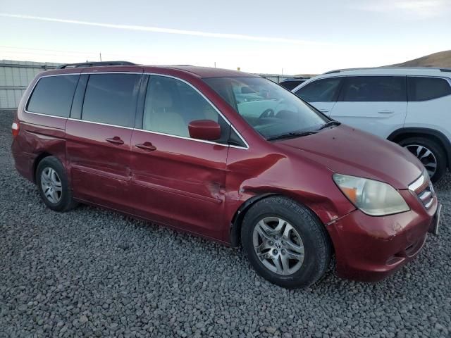 2005 Honda Odyssey EX