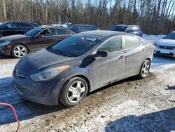 Hyundai salvage cars for sale: 2013 Hyundai Elantra GLS