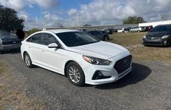 Hyundai Sonata Vehiculos salvage en venta: 2018 Hyundai Sonata ECO