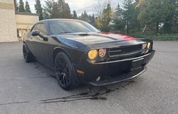 Dodge Challenger salvage cars for sale: 2013 Dodge Challenger SXT