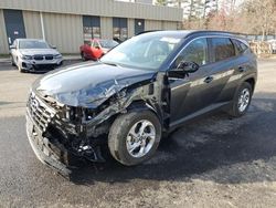 Hyundai Tucson salvage cars for sale: 2024 Hyundai Tucson SEL