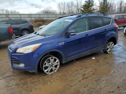 Ford Escape salvage cars for sale: 2013 Ford Escape SEL