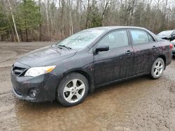 Toyota Corolla salvage cars for sale: 2011 Toyota Corolla Base