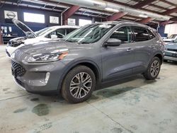 Ford Escape sel salvage cars for sale: 2021 Ford Escape SEL