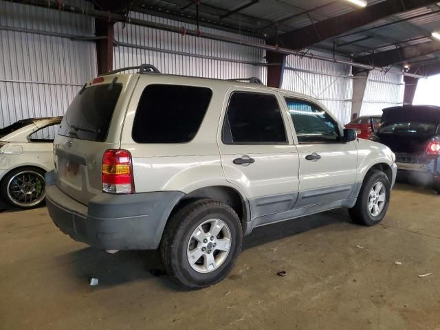 2005 Ford Escape XLT