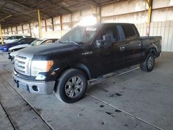 Ford f-150 salvage cars for sale: 2009 Ford F150 Supercrew