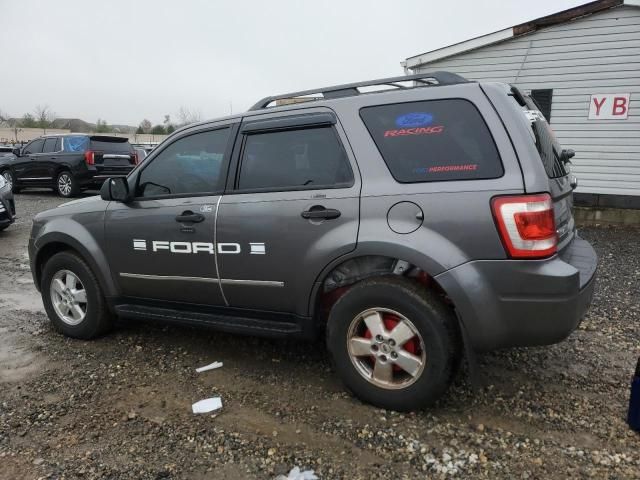 2010 Ford Escape XLT