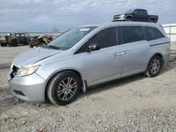 Honda Odyssey exl salvage cars for sale: 2013 Honda Odyssey EXL