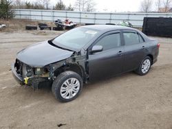 Toyota Corolla salvage cars for sale: 2009 Toyota Corolla Base