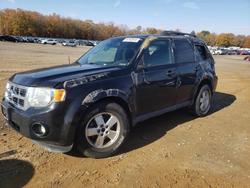 Ford Vehiculos salvage en venta: 2011 Ford Escape xlt