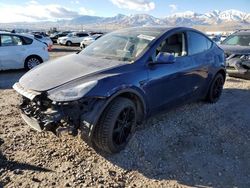 Tesla salvage cars for sale: 2021 Tesla Model Y