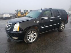 Cadillac Escalade salvage cars for sale: 2010 Cadillac Escalade Premium