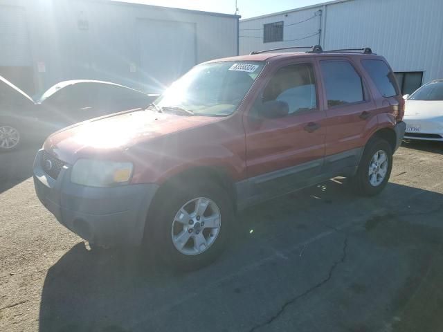 2006 Ford Escape XLT