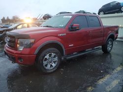 Ford f-150 salvage cars for sale: 2014 Ford F150 Supercrew