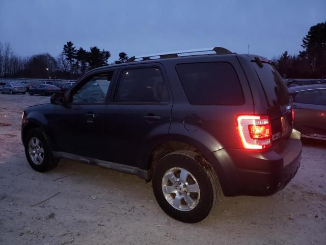 2009 Ford Escape Limited