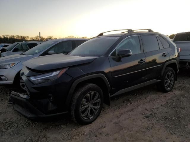 2024 Toyota Rav4 XLE Premium