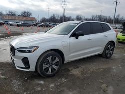 Volvo salvage cars for sale: 2024 Volvo XC60 Plus