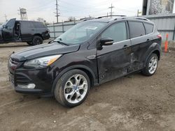 Ford Escape Titanium salvage cars for sale: 2013 Ford Escape Titanium