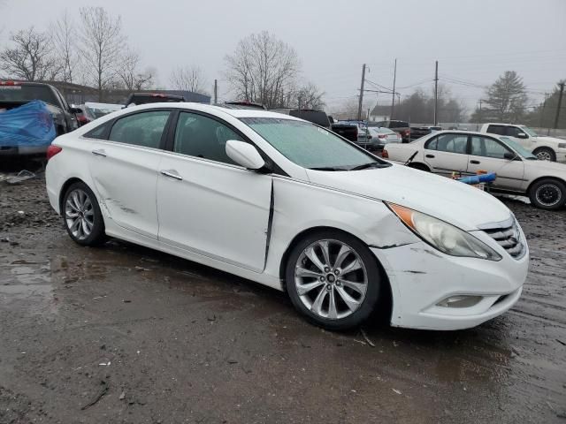 2011 Hyundai Sonata SE