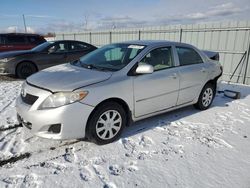 Toyota Corolla salvage cars for sale: 2009 Toyota Corolla Base