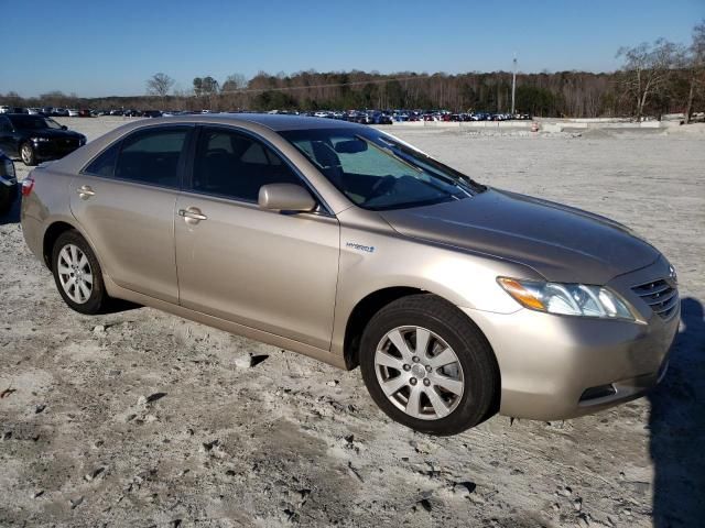 2009 Toyota Camry Hybrid