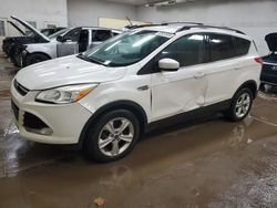 Ford Escape salvage cars for sale: 2013 Ford Escape SE